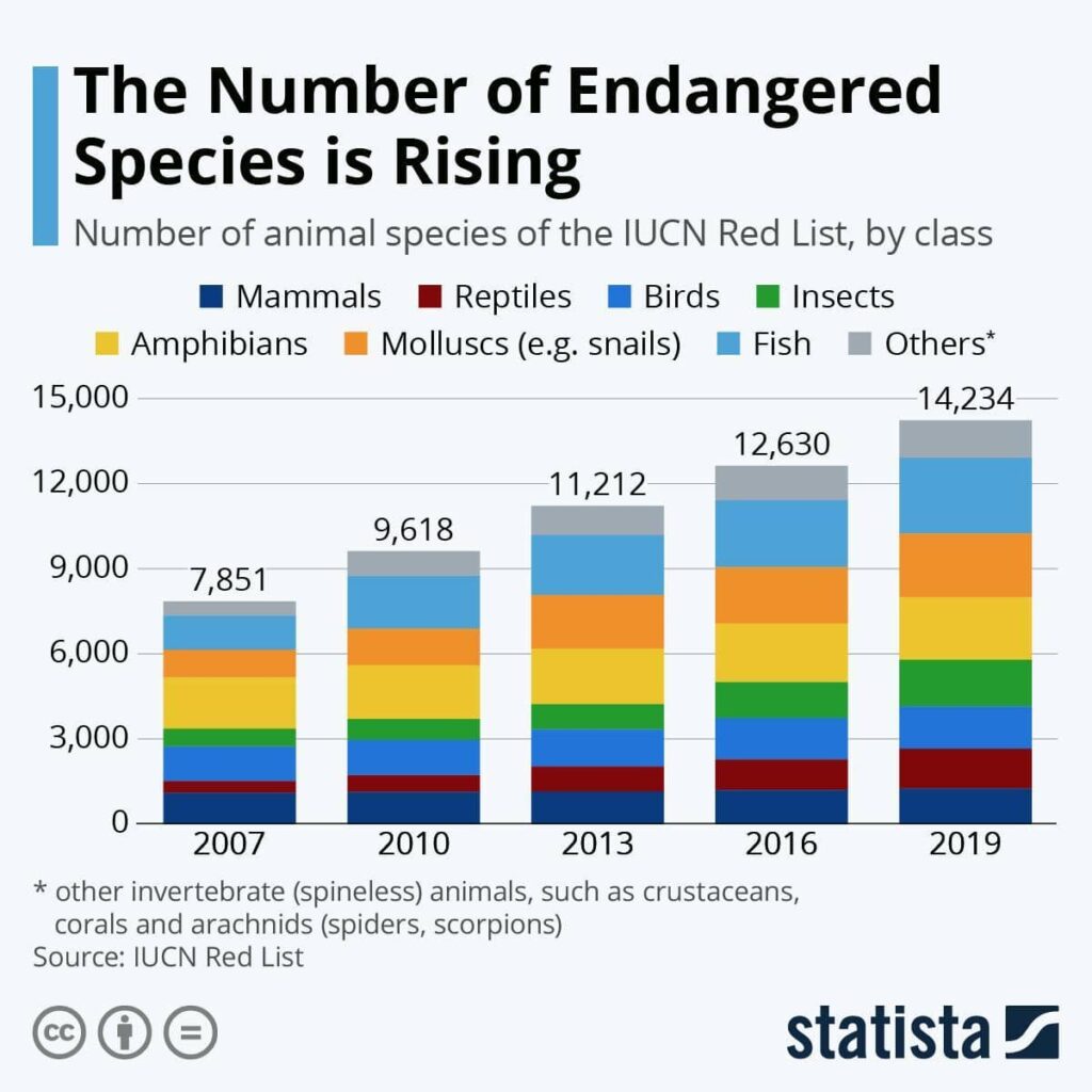 Endangered species increasing