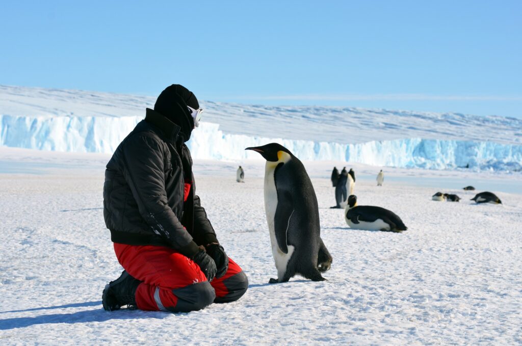 The Frozen mystery of Antarctica