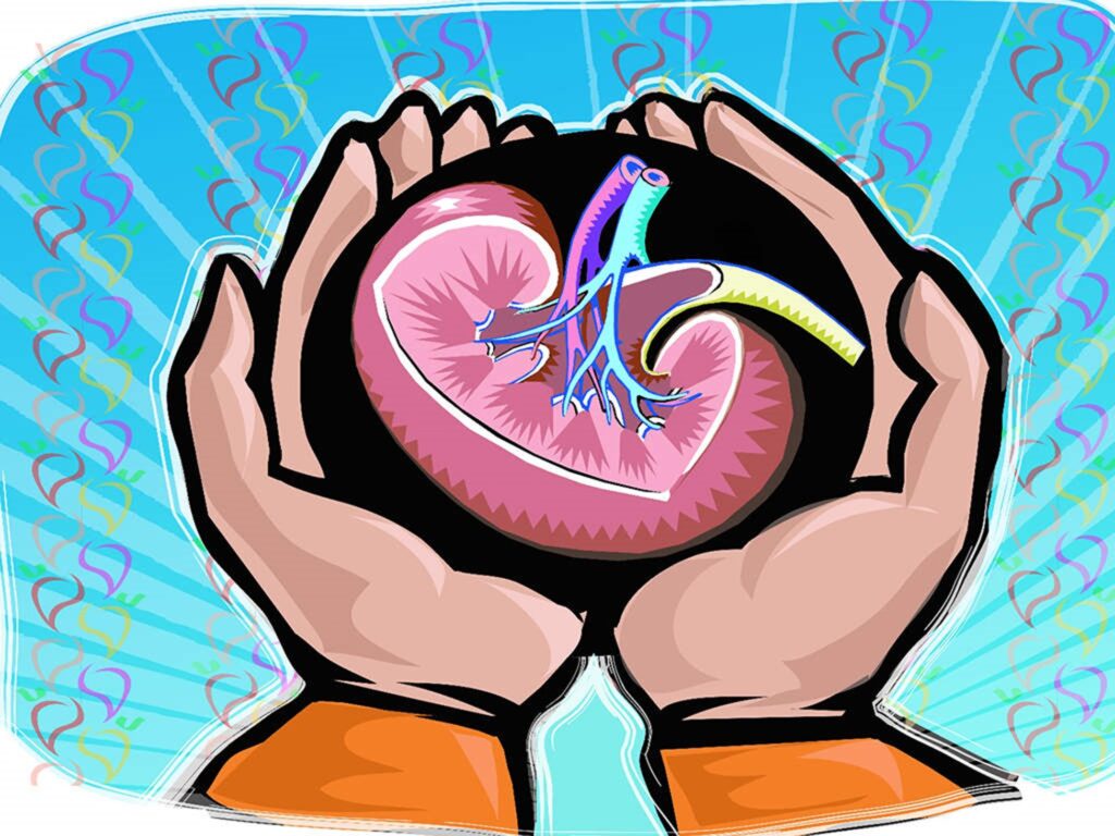 The Kidney Scam