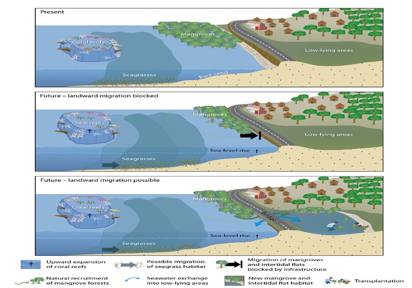 Protection of Marine Ecosystems