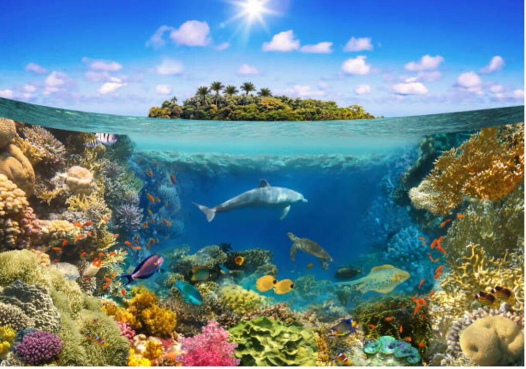 Protection of Marine Ecosystems