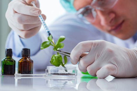 Biotech: Revolutionising Healthcare and Agriculture