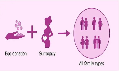 The Global Surge of Surrogacy