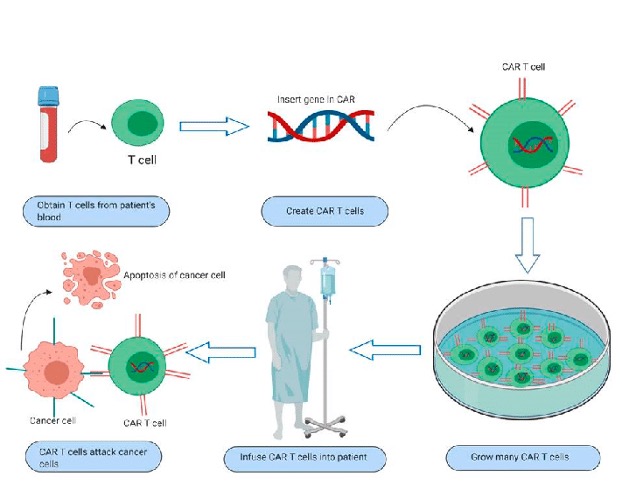 Cancer Research