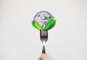 Sustainability in food chains