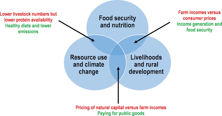 Sustainability in Food Supply Chains