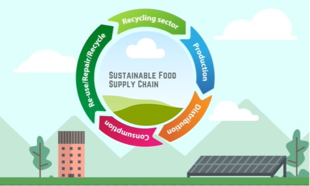 Sustainability in Food Supply Chains